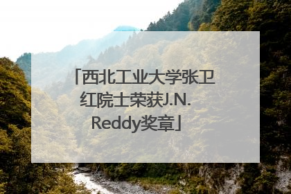 西北工业大学张卫红院士荣获J.N.Reddy奖章