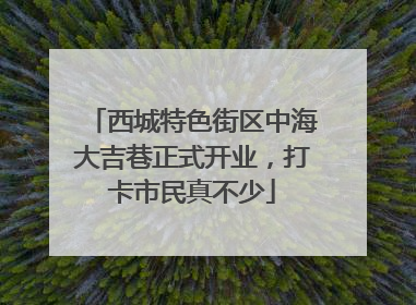 西城特色街区中海大吉巷正式开业，打卡市民真不少