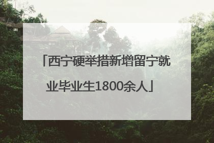 西宁硬举措新增留宁就业毕业生1800余人