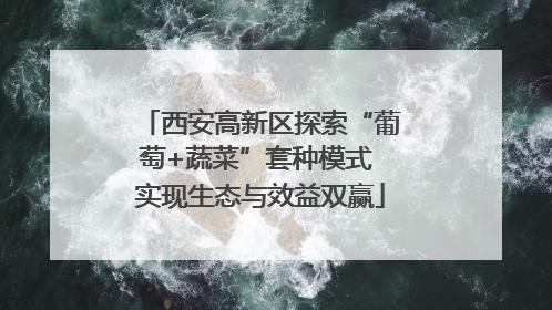 西安高新区探索“葡萄+蔬菜”套种模式 实现生态与效益双赢