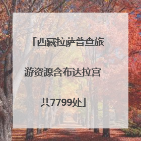 西藏拉萨普查旅游资源含布达拉宫共7799处