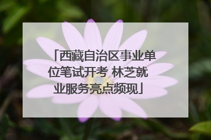 西藏自治区事业单位笔试开考 林芝就业服务亮点频现