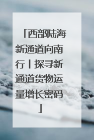 西部陆海新通道向南行丨探寻新通道货物运量增长密码