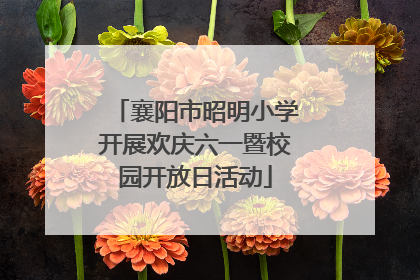 襄阳市昭明小学开展欢庆六一暨校园开放日活动