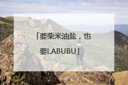要柴米油盐，也要LABUBU