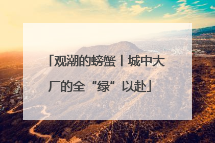 观潮的螃蟹丨城中大厂的全“绿”以赴