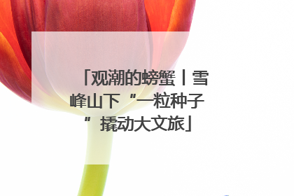 观潮的螃蟹丨雪峰山下“一粒种子”撬动大文旅