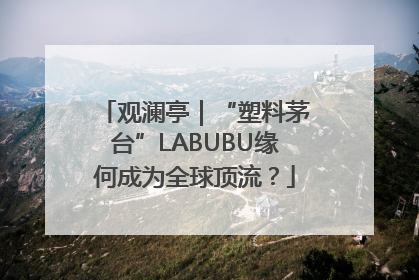 观澜亭｜“塑料茅台”LABUBU缘何成为全球顶流？