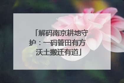 解码南京耕地守护：一码管田有方 沃土搬迁有道