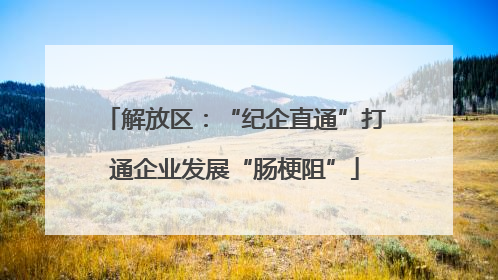 解放区：“纪企直通”打通企业发展“肠梗阻”