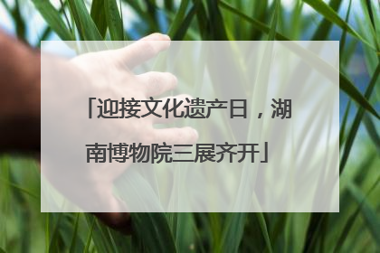 迎接文化遗产日，湖南博物院三展齐开