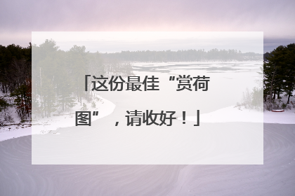 这份最佳“赏荷图”，请收好！
