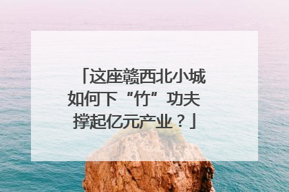 这座赣西北小城如何下“竹”功夫撑起亿元产业？