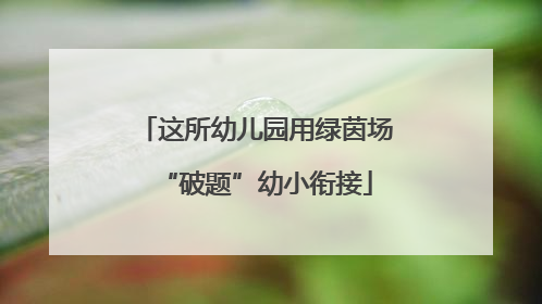 这所幼儿园用绿茵场“破题”幼小衔接