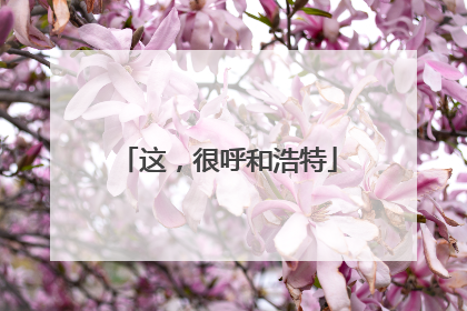 这，很呼和浩特