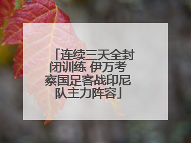 连续三天全封闭训练 伊万考察国足客战印尼队主力阵容