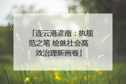连云港灌南：执规范之笔 绘就社会高效治理新画卷