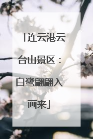 连云港云台山景区：白鹭翩翩入画来