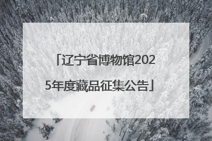 辽宁省博物馆2025年度藏品征集公告