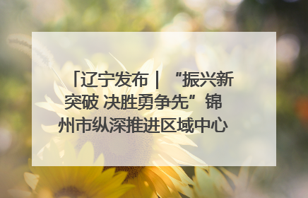 辽宁发布｜“振兴新突破 决胜勇争先”锦州市纵深推进区域中心城市建设 打造高质量发展新增长极