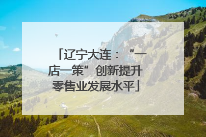 辽宁大连：“一店一策”创新提升零售业发展水平
