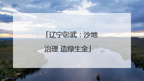 辽宁彰武：沙地治理 造绿生金