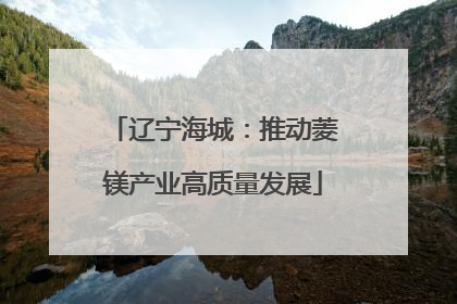 辽宁海城：推动菱镁产业高质量发展