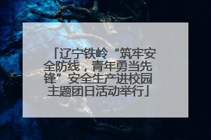 辽宁铁岭“筑牢安全防线，青年勇当先锋”安全生产进校园主题团日活动举行