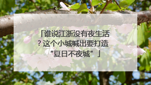 谁说江浙没有夜生活？这个小城喊出要打造“夏日不夜城”