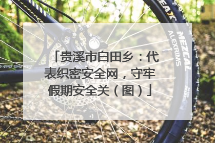 贵溪市白田乡：代表织密安全网，守牢假期安全关（图）