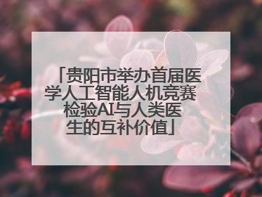 贵阳市举办首届医学人工智能人机竞赛 检验AI与人类医生的互补价值