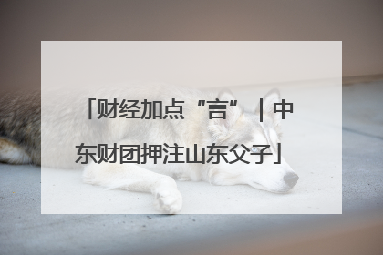 财经加点“言”｜中东财团押注山东父子