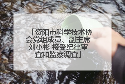 资阳市科学技术协会党组成员、副主席刘小彬 接受纪律审查和监察调查