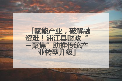 赋能产业，破解融资难！浦江县财政“三聚焦”助推传统产业转型升级