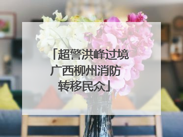 超警洪峰过境 广西柳州消防转移民众