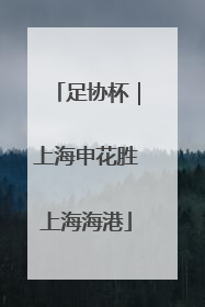 足协杯｜上海申花胜上海海港