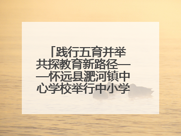 践行五育并举 共探教育新路径——怀远县淝河镇中心学校举行中小学、幼儿园班主任论坛活动