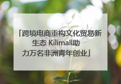 跨境电商重构文化贸易新生态 Kilimall助力万名非洲青年创业