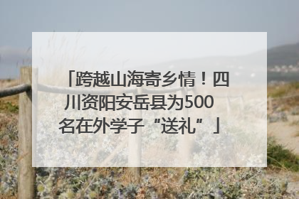 跨越山海寄乡情！四川资阳安岳县为500名在外学子“送礼”