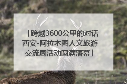 跨越3600公里的对话 西安-阿拉木图人文旅游交流周活动圆满落幕
