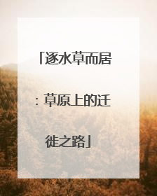 逐水草而居：草原上的迁徙之路
