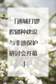 通城打锣腔剧种建设与非遗保护研讨会开幕