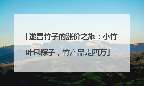 遂昌竹子的涨价之旅：小竹叶包粽子，竹产品走四方
