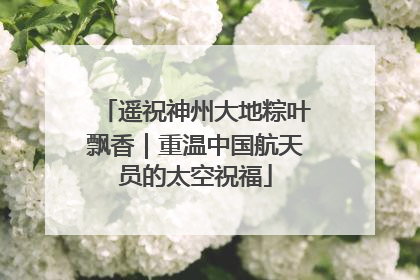 遥祝神州大地粽叶飘香｜重温中国航天员的太空祝福