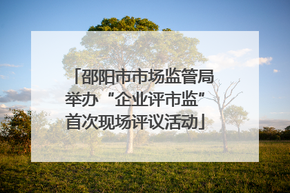邵阳市市场监管局举办“企业评市监”首次现场评议活动