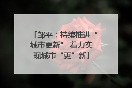 邹平：持续推进“城市更新” 着力实现城市“更”新
