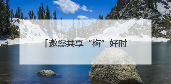 邀您共享“梅”好时光！漳州开发区举办杨梅采摘季嘉年华