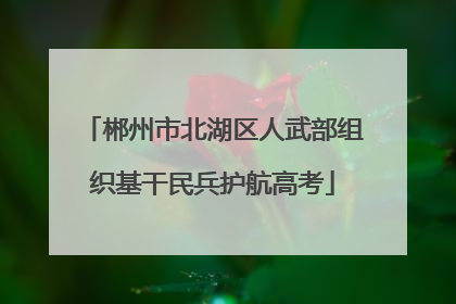 郴州市北湖区人武部组织基干民兵护航高考