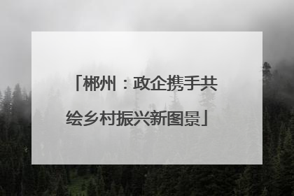 郴州：政企携手共绘乡村振兴新图景