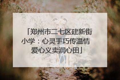 郑州市二七区建新街小学：心灵手巧传温情 爱心义卖润心田